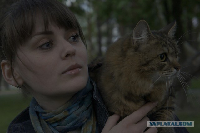 Забавы наших усатых-полосатых