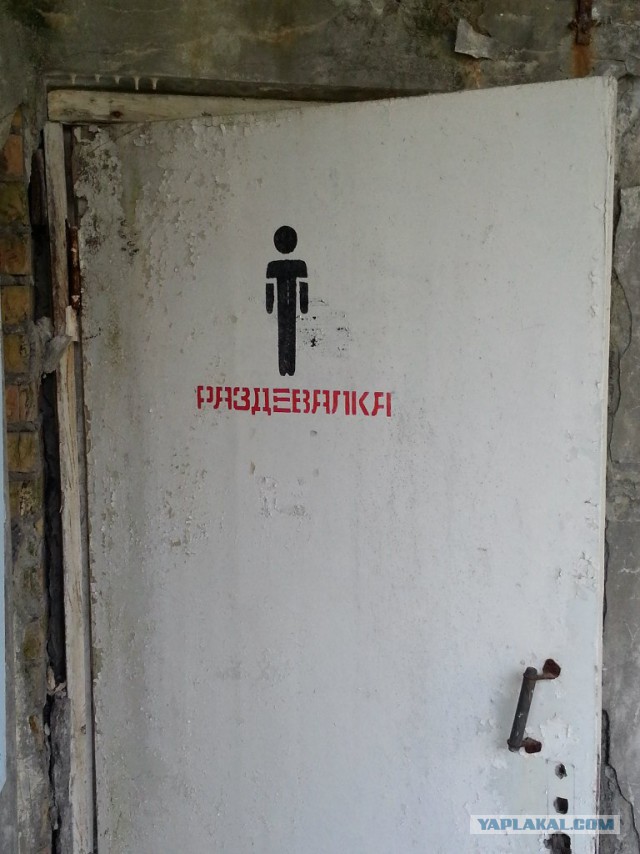 Поездка в Зону Отчуждения