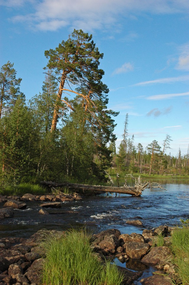 Деревенская Америка