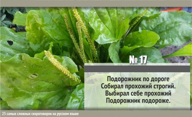 25 сложнейших русских скороговорок