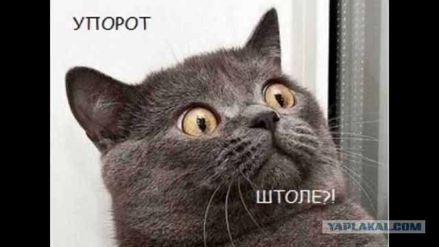 Случай перевернувший мое мировоззрение