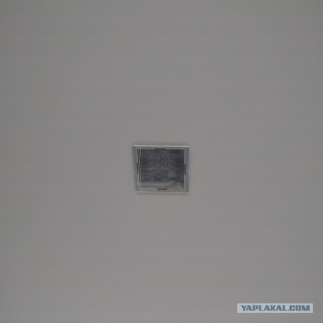 Прилет новенького Airbus 321 во Внуково
