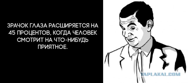 А вы знали что...