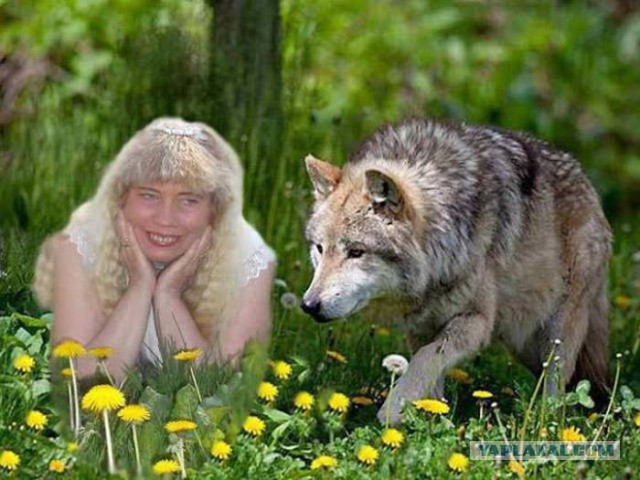 «Шедевры» фотошопа на странице в Facebook