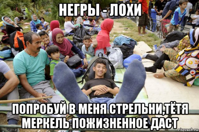 Берсерк вышла на тропу войны...ненадолго