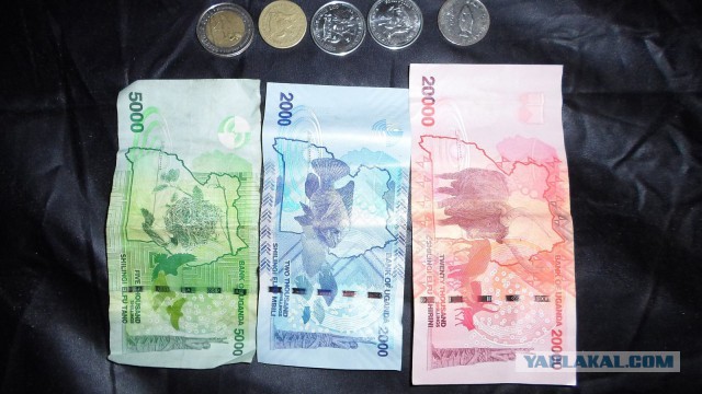 Отпуск в Африке, часть 2