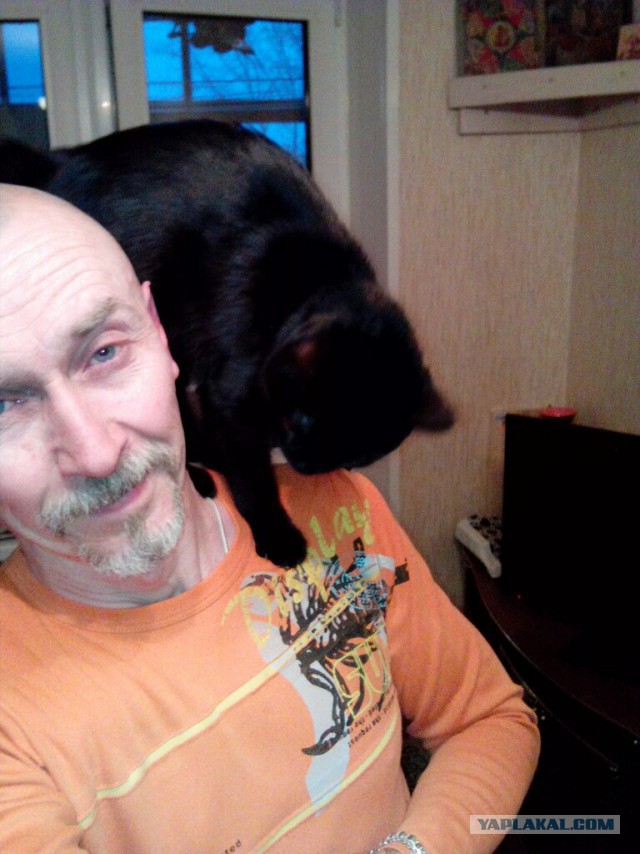 Котовторник 14.03.2017