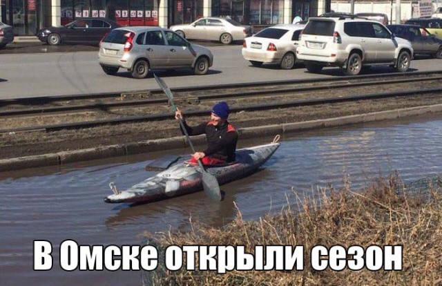 Подборка безудержного веселья
