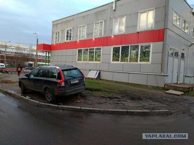 Как я стал крысой
