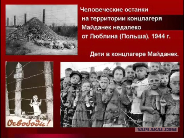 Служебная проверка идет в гимназии Нового Уренгоя