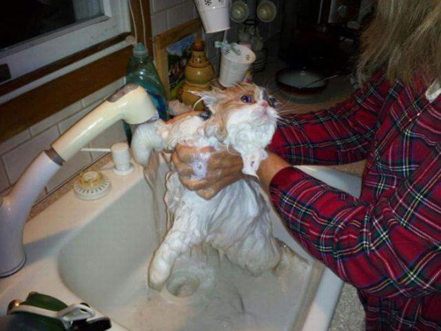 Подборка интересных и веселых картинок