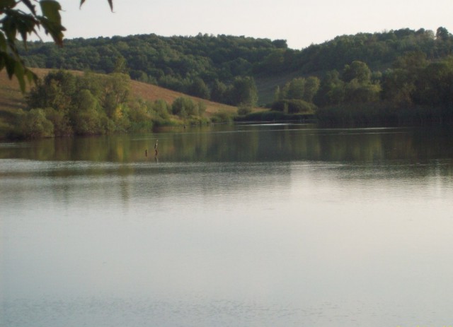 Просто Природа