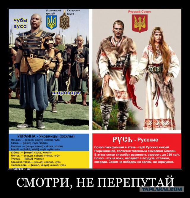 Десять знаменитостей, которых Киев превртил в украинцев