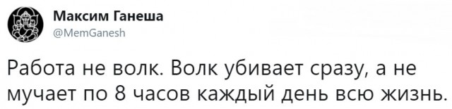 Смешные комментарии из социальных сетей 01.06.2018