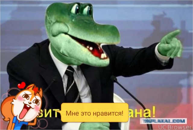 Рожальная служба (демография в опасности)