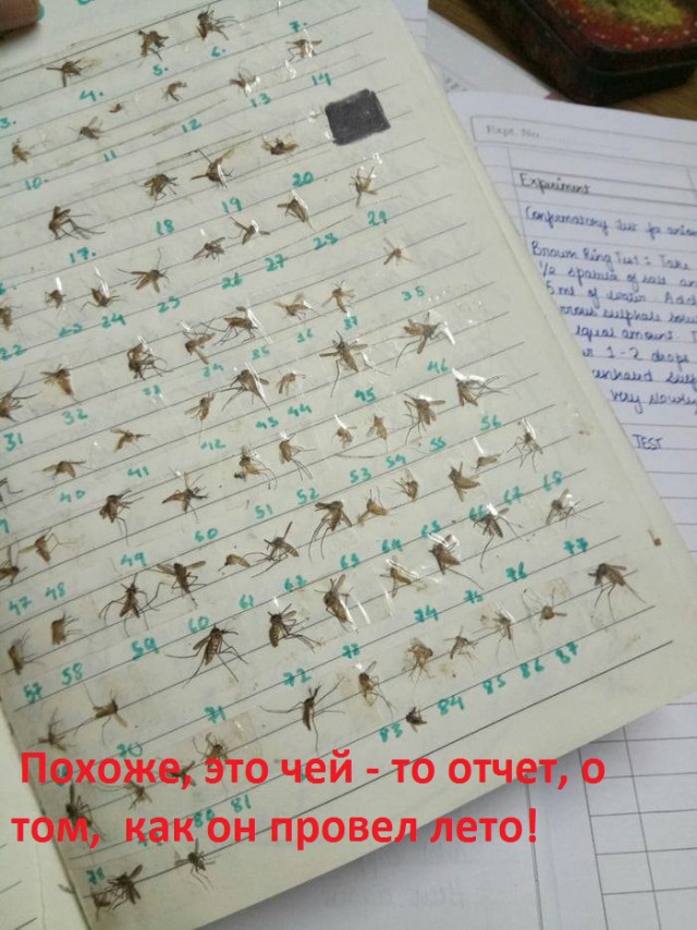 Прикольные картинки