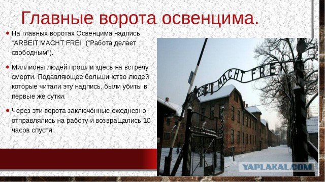 Злые и ленивые россияне
