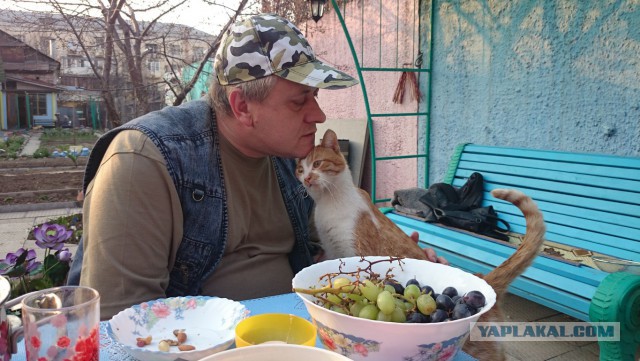 Какой кот подойдет вам по знаку Зодиака