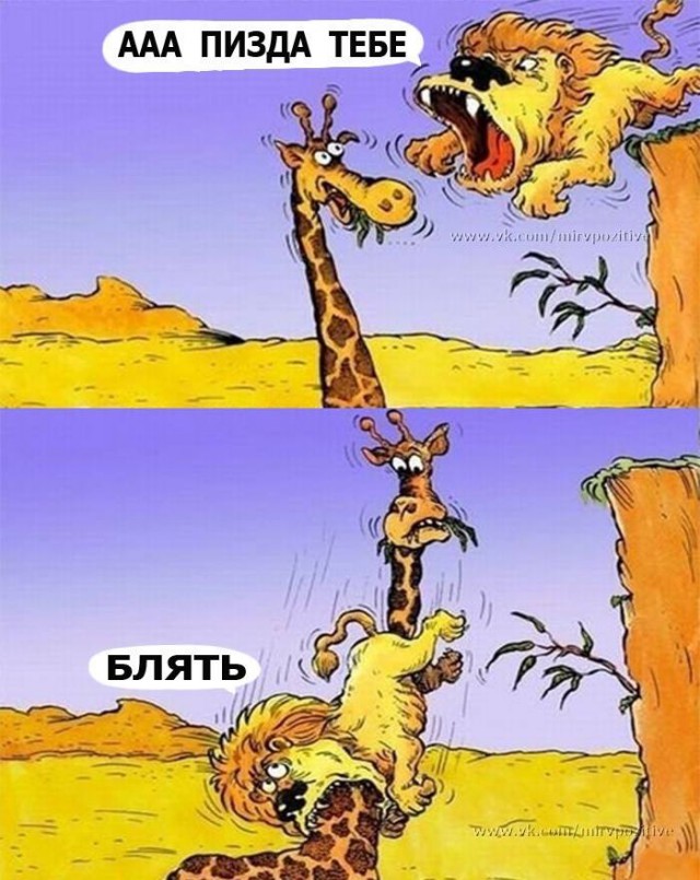 Смешные комментарии из социальных сетей 25.01.2019