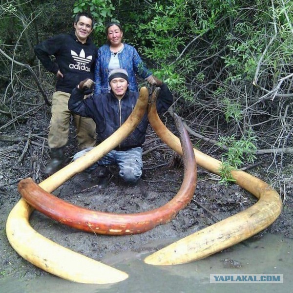 10 лямов нарыли