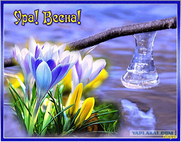 Подборка интересных и веселых картинок 05.03.19