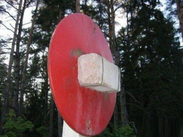 И всё-таки она наша. Лента картинок