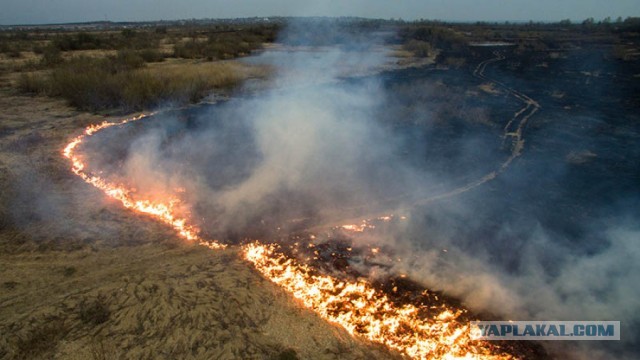 Пока дядя Вова  погружается на батискафе, Сибирь задыхается в дыму.