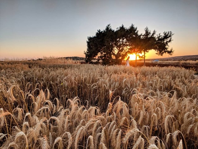 Сам себе фотограф