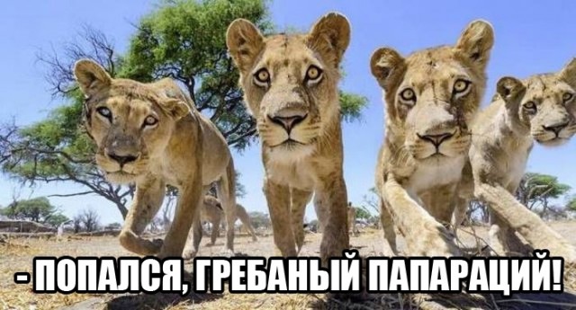 Так себе картинки #11
