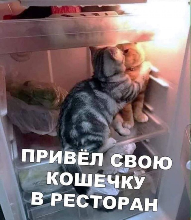 Бредзона 02.05.20