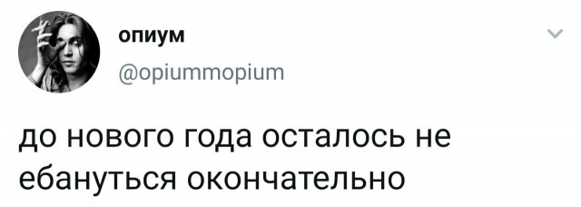 Фотки и картинки: юморные и красивые, забавные и милые 09.11.20