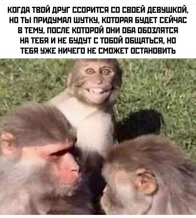 Ещё немного лайтовой чернушки не желаете?