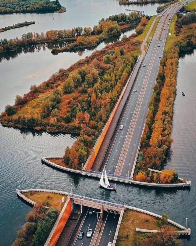 Картинки и Гифки...