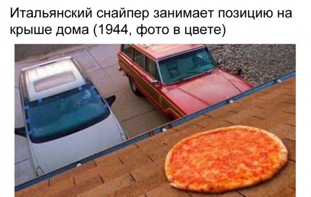 Весёлый полтишок 19.03