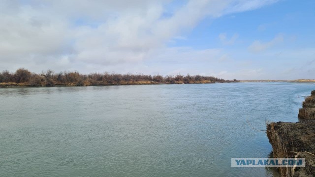 Иртыш, немного рыбки