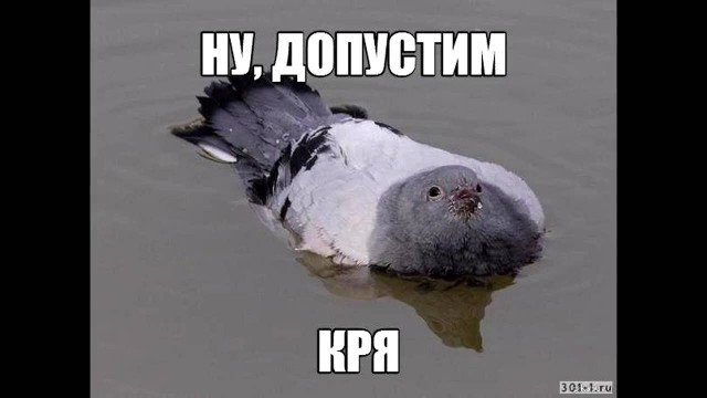 Звонок из заднего прохода