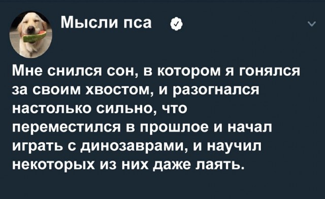 Картинки и мемы для настроения