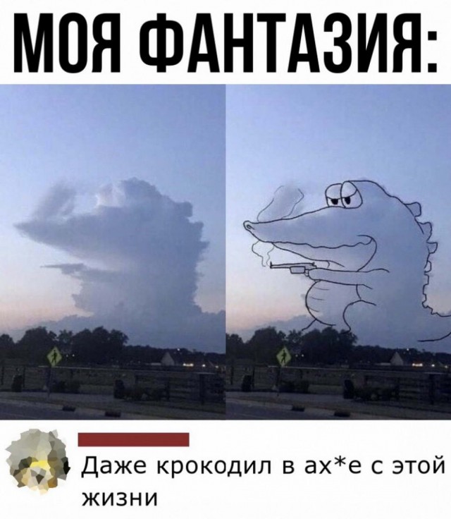 Картинки и мемы для настроения 12.08.2021