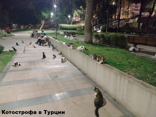 Кубик Рубика