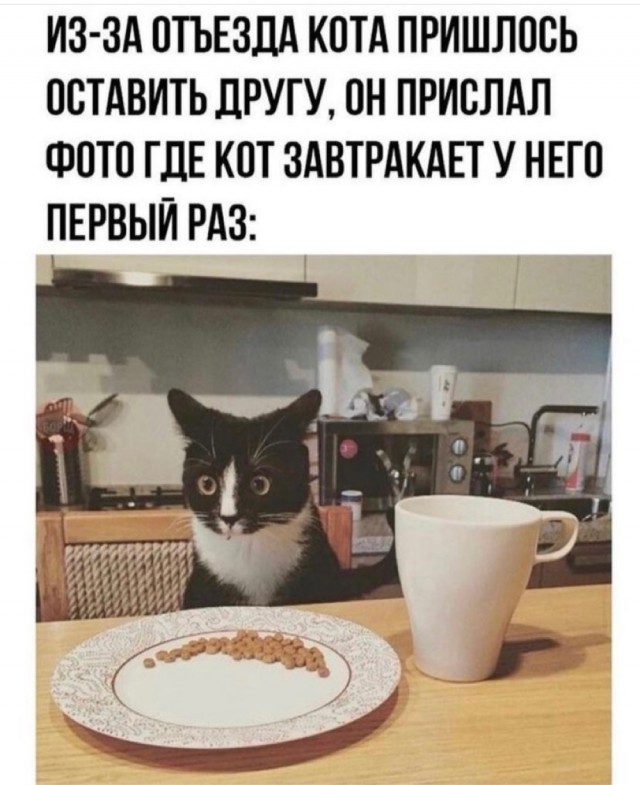 Картинки 07.11.21