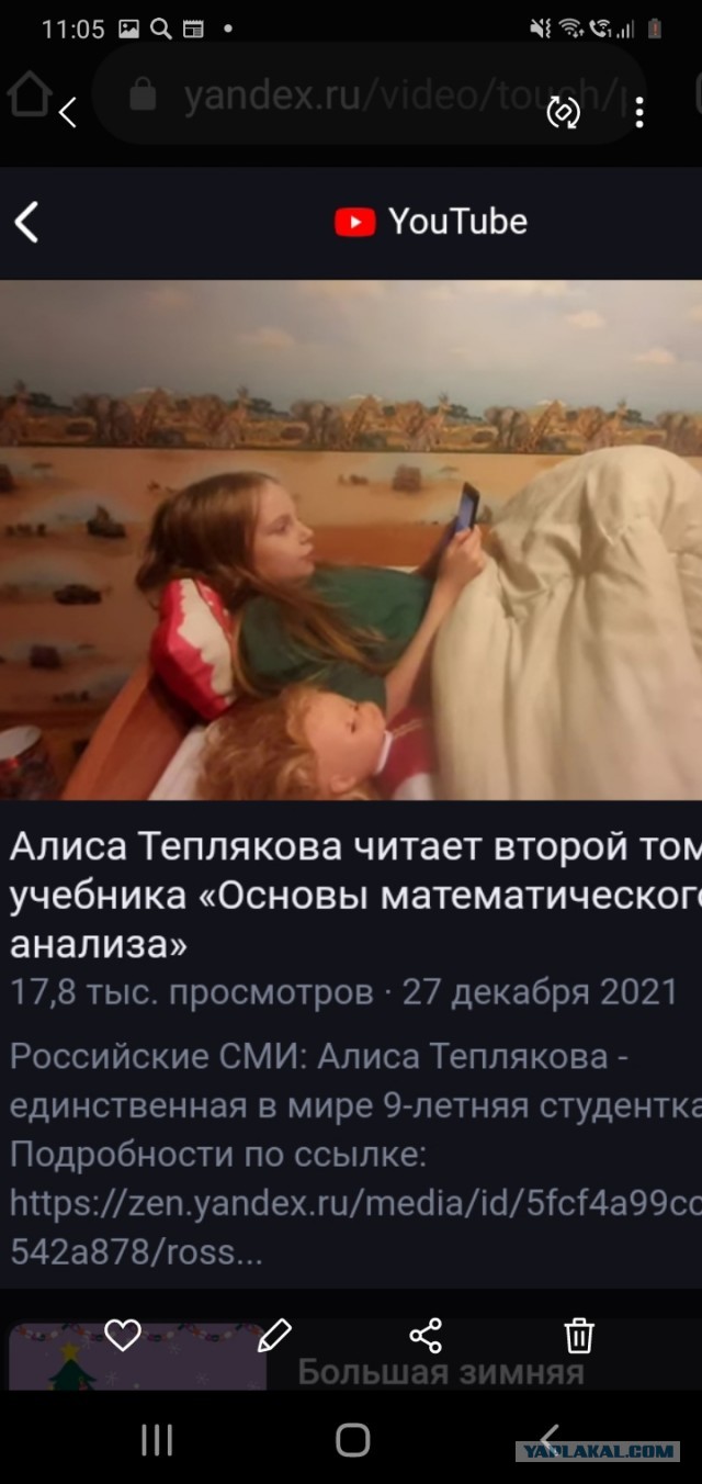 «Гениальные» Тепляковы как символ того, до чего докатилось всё наше некогда великое образование