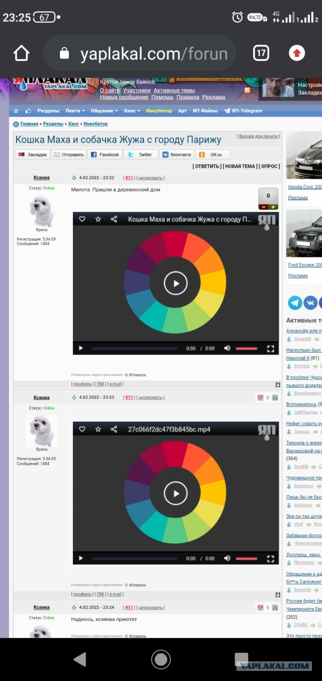 Кошка Маха и собачка Жужа с города Парижу