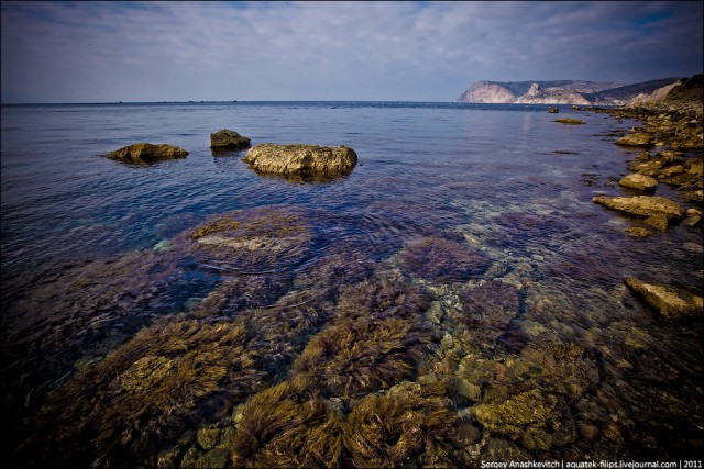 Чёрное море