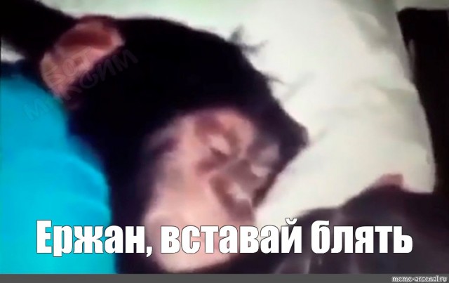 Доброе утро