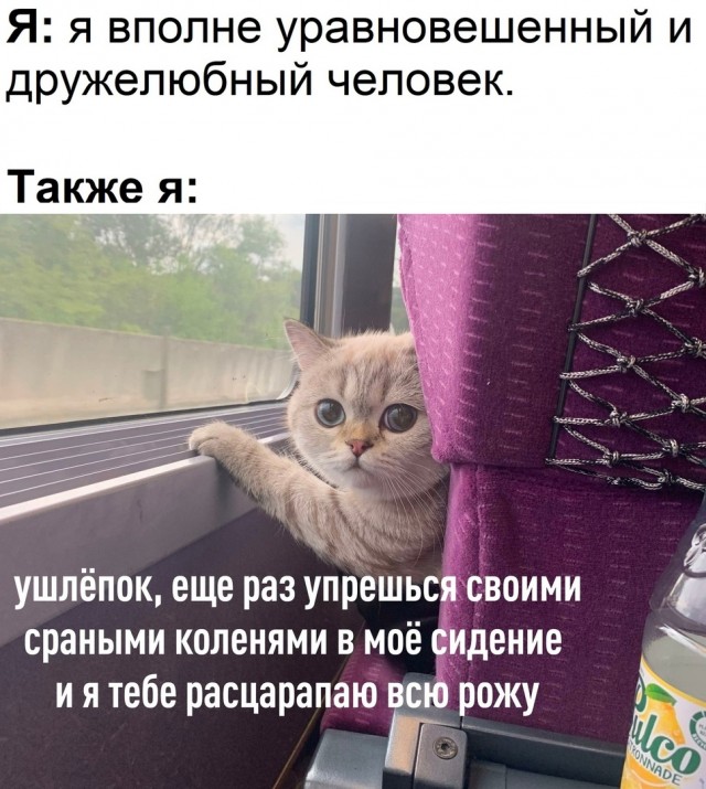Так себе картинки 09.06.22