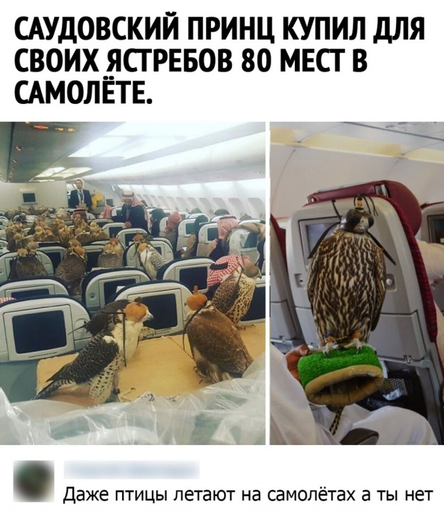 Так себе картинки 18.07.22