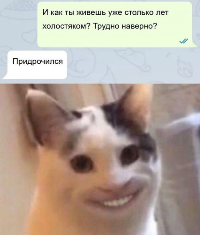 Весёлый полтишок 18.08.22