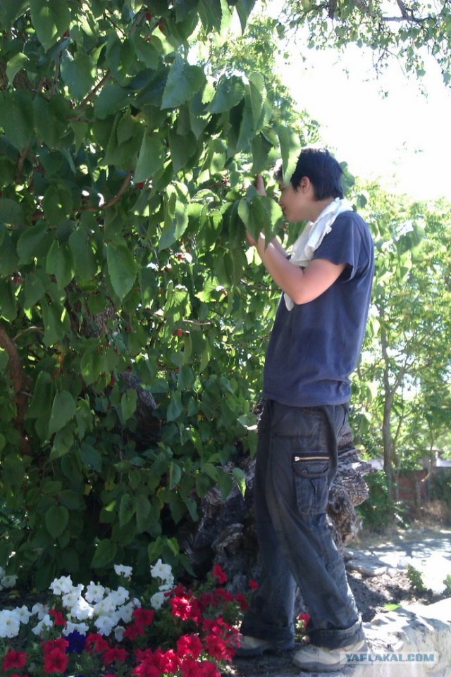 500 км. по Испании пешком