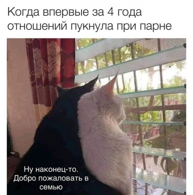 Немного мемчиков. Для взрослых. Часть 15