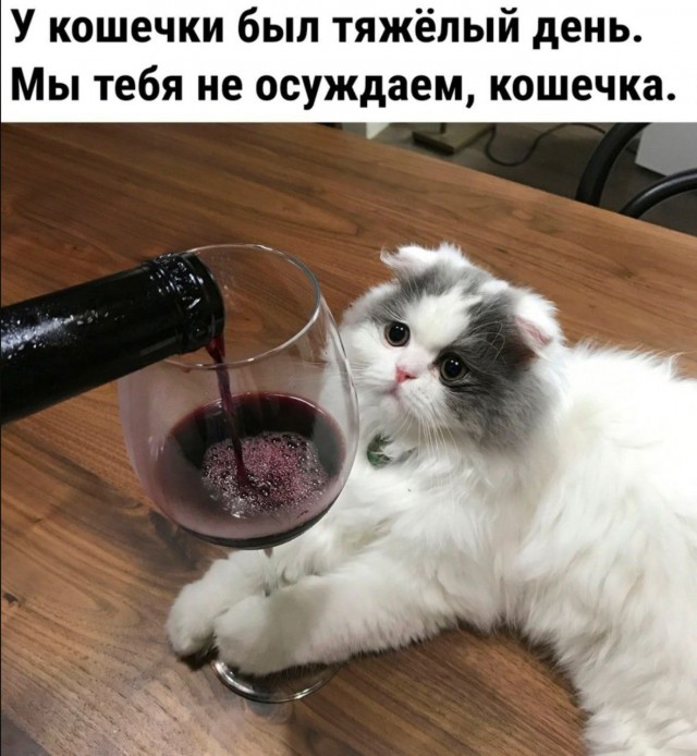 Картинки всякие, развесёлые и не очень. Vol 2.